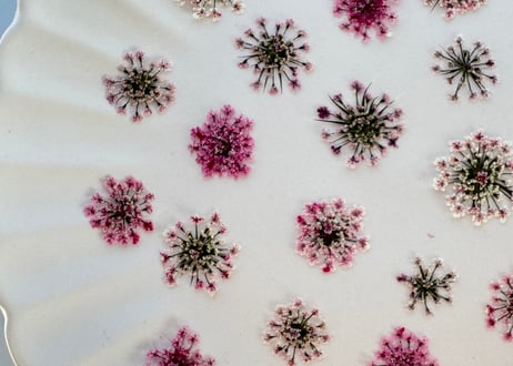 レースフラワー・ピンクセット