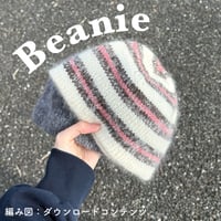 編み図のみ：Beanie (ビーニー)