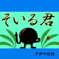 そいる君　　　　　　　　　　　　超硬焼き黒ソイル アガベ仕様