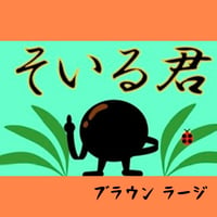 そいる君　　　　　　　　　　　　超硬焼き茶ソイルラージ