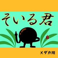 そいる君　　　　　　　　　　　　超硬焼き茶ソイル メダカ用