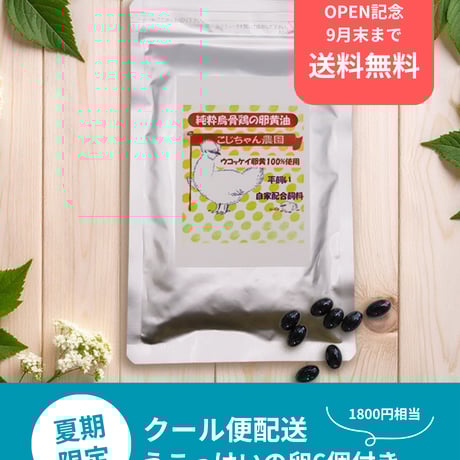 ルイーズ烏骨鶏有精卵50個 2025年最新】Yahoo!オークション -有精卵 烏骨鶏(卵)の中古品