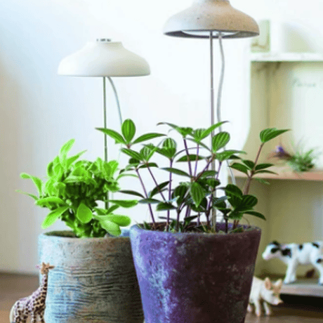植物育成ライト | STORES