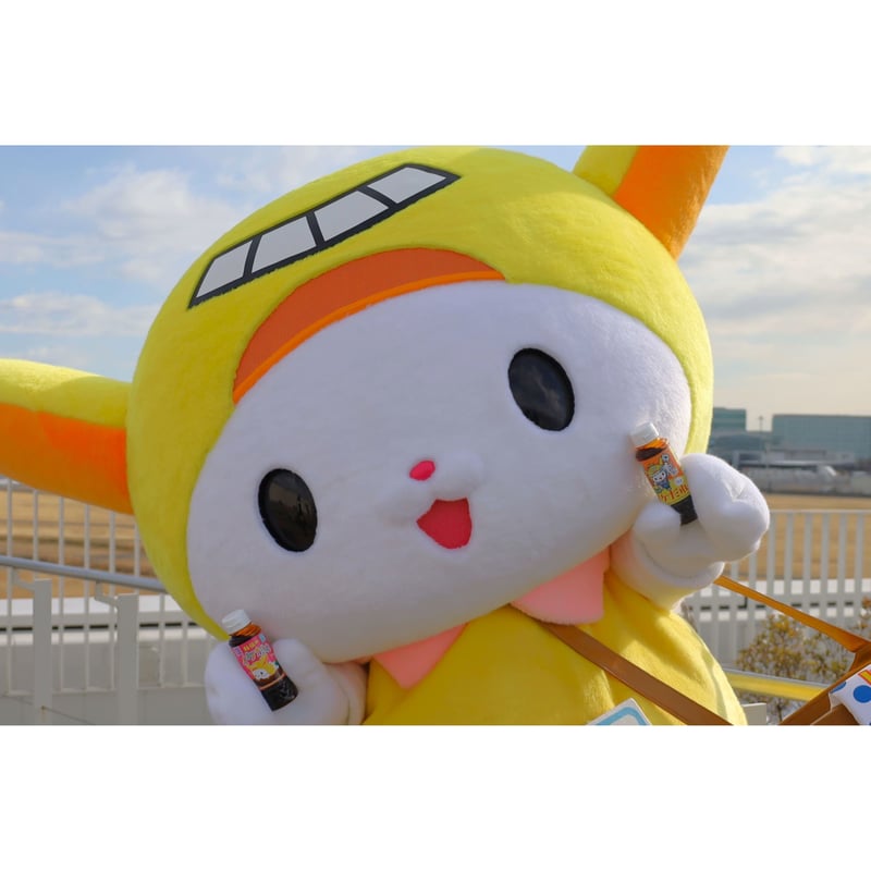 はねぴょん 秘伝のイケだれ | 東京・大田観光協会 はねぴょんストア