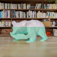 3DBEAR.(icecream-color)