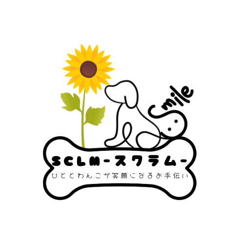 SCLM-スクラム-