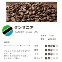 タンザニア　サウステラAA
