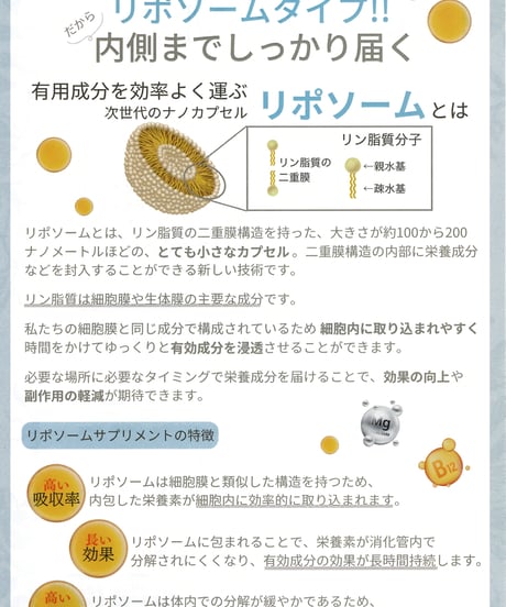 MVM（マルチビタミンミネラル）定期便10％引き