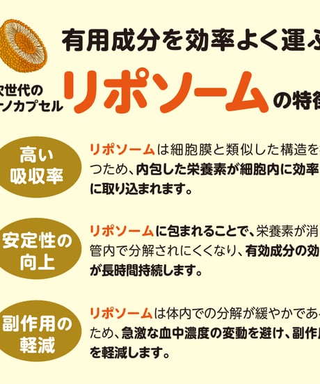 GO SUPPLE リポソームビタミンC