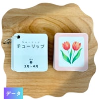 知育カルタ | お花