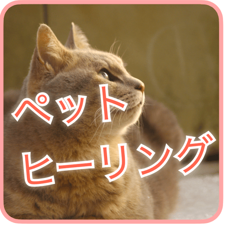 あんこ遠隔気功2件 遠隔気功 | STORES