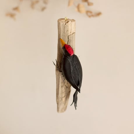 キツツキ | STORES