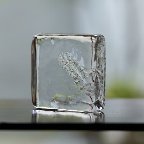 作家　ガラス作家　水月　タンブラー　森本もとこ　2個 作家 ガラス作家 水月 タンブラー 森本もとこ 2個 Glass Gallery