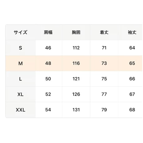 SOULFUCKTRY パーカー フーディー  ワンポイント バックプリント 黒 メンズ レディース ストリート
