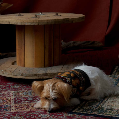 307 Art piece pet sweater