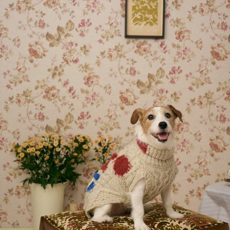 504 Cable & Intarsia dot pet knitwear with hand embroidery