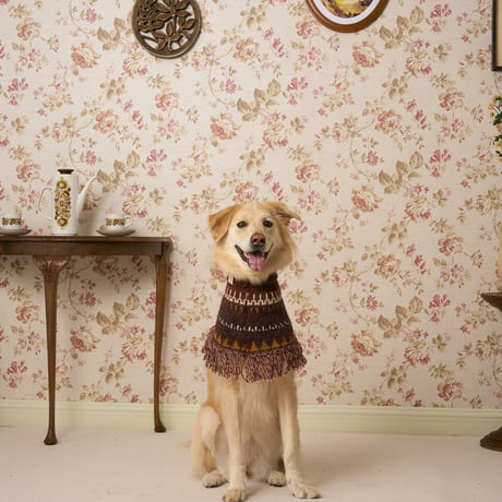514 Fair Isle pet neck warmer with Fringe