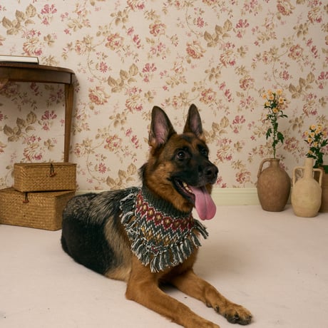 515 Triangle pet neck warmer with Fringe