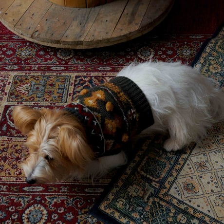 307 Art piece pet sweater