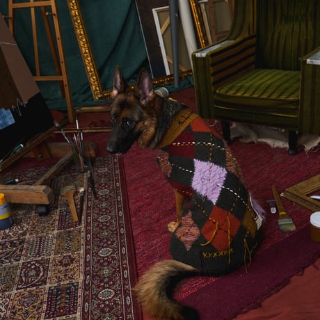 408 Argyle Pattern Multi-Yarn Pet Sweater