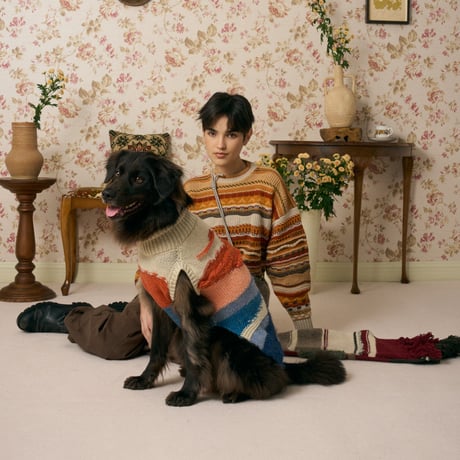 503 Intarsia landscape pet knitwear with hand embroidery