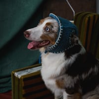 401 RWS Wool Mixed Yarn Hand-Embroidered Dog Flight Cap