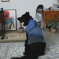 301 Washed Pet Sweater Patchwork