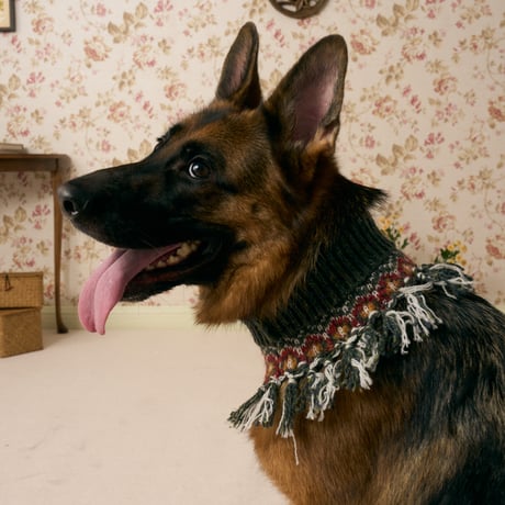 515 Triangle pet neck warmer with Fringe