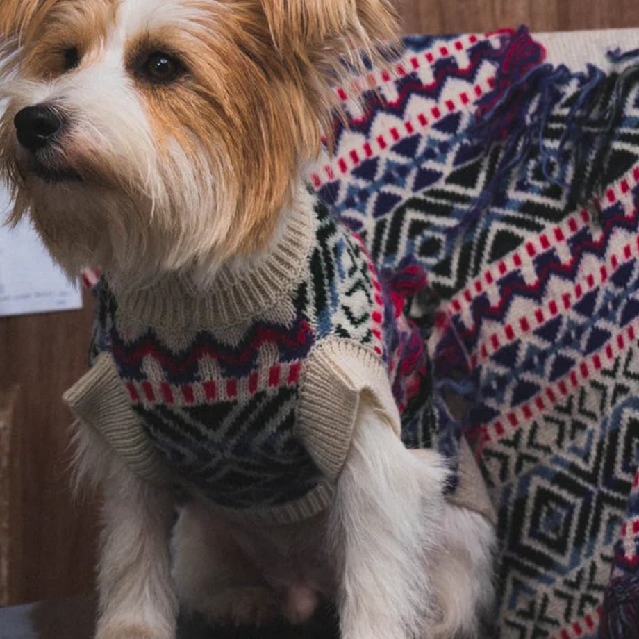 68ea1e2a2440d404b1bbc6b5
