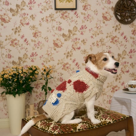 504 Cable & Intarsia dot pet knitwear with hand embroidery