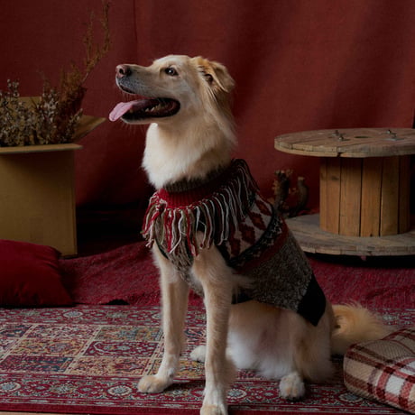 306 Vintage retro irish pet sweater