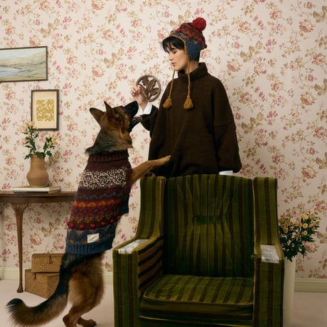 501 Chunky pet knitwear with pompom