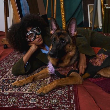 408 Argyle Pattern Multi-Yarn Pet Sweater