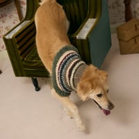 513 Striped pet neck warmer with crochet furry edge