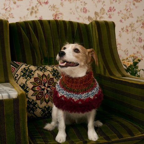 510 Fancy yarn pet neck warmer with crochet furry edge