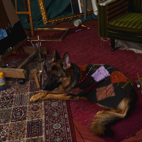 408 Argyle Pattern Multi-Yarn Pet Sweater