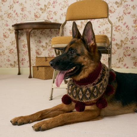 516 Yoke-pattern pet neck warmer with  pompom