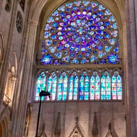 Paris✴︎星の自分に目覚める夏至のゲート通過
