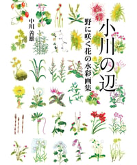 小川の辺　野に咲く花の水彩画集