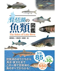 琵琶湖の魚類図鑑