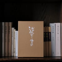 治療の書