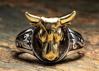 【PARASITE/パラサイト】　PST THIN RING COW -BRASS-
