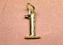【PARASITE/パラサイト】　NUMBER 1 CHARM -HIGH POLISHED BRASS-