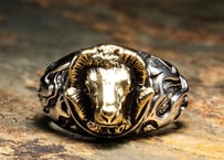 【PARASITE/パラサイト】　PST THICK RING SHEEP -BRASS-