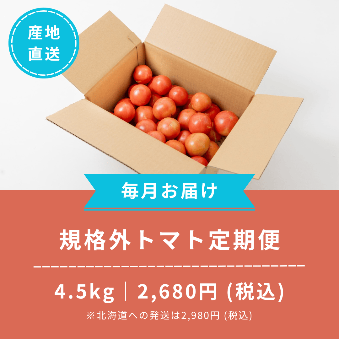 規格外トマト定期便｜4.5kg | トマト男 農園とフォーク青果店