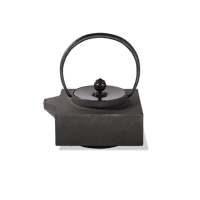 IRONY | IR-X | KETTLE