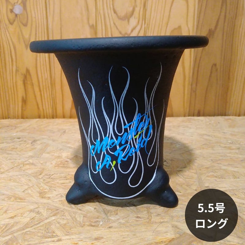 プヤ ベルトロニアーナ 5号 黒鉢 園芸ネット本店｜セラアート長鉢6号（黒） の通販【公式】
