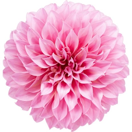 スピリチュアルカウンセリング | STORES