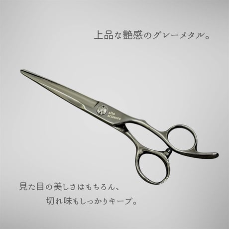 smart model　ダークグレー