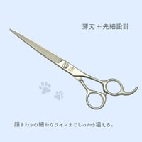【ペット】one model シャープフラット
